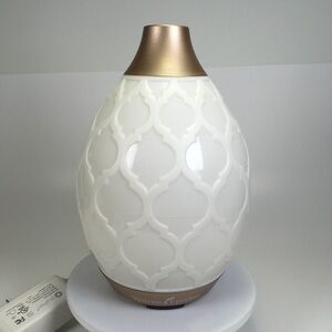 Young Living Desert Mist Essential Oil Diffuser